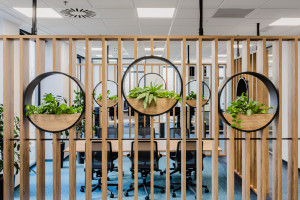 Nowe biuro Kuehne+Nagel w Warszawie. Za projektem hybrydowego biura stoi pracownia Carbon Architecture