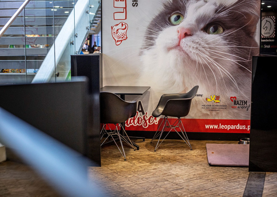 Takiego miejsca w centrum handlowym nie było. Pierwszy w Polsce Dogbar powstał w Galerii Katowickiej