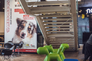 Takiego miejsca w centrum handlowym nie było. Pierwszy w Polsce Dogbar powstał w Galerii Katowickiej