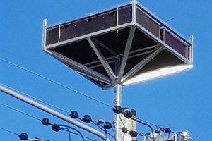 Na pomorzu Energa zamontowała nowe mieszkania (nie tylko) dla bocianów