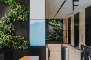 Zielone smart office. Tak technologia dba o zieleń w środowisku biurowym