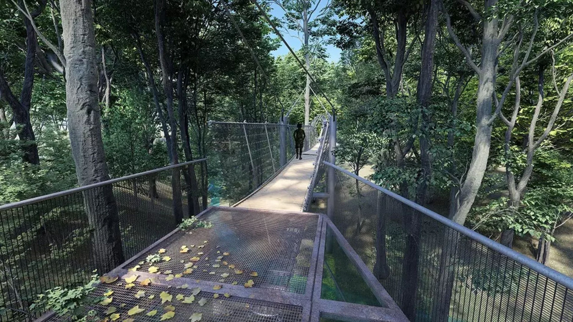 Park Południowy w Gdańsku: propozycja mostu linowego nad Jarem Jaworzniaków pozostałym po dawnym cieku wodnym
Mat. Biuro Architekta Miasta Gdańsk
Zielone płuca miasta. Powstał masterplan najmłodszego parku w Gdańsku