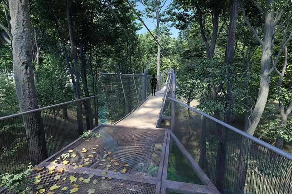 Park Południowy w Gdańsku: propozycja mostu linowego nad Jarem Jaworzniaków pozostałym po dawnym cieku wodnym, fot. mat. Biuro Architekta Miasta Gdańsk