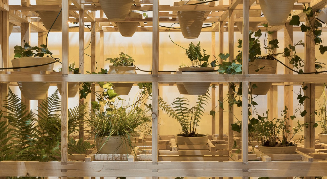 Muzeum Architektury we Wrocławiu, instalacja GreenhouseSilentDisco, fot. Paolo Riozi