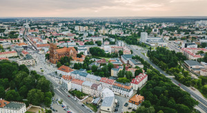 50 ha zieleńców w Białymstoku nie jest koszona. Oto powód