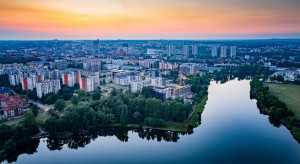 W Katowicach przybędzie 350 drzew